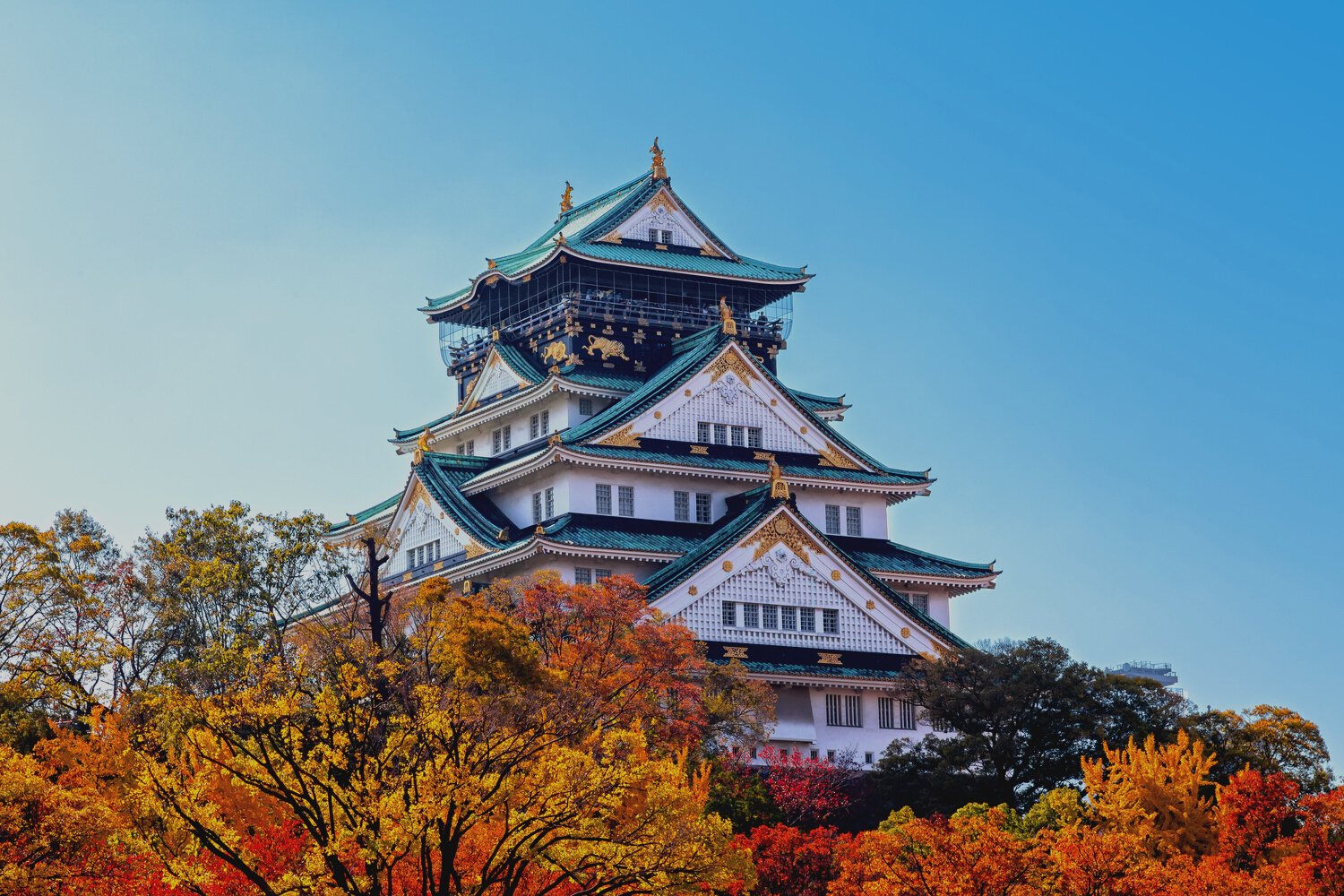 Osaka Castle in Japan with Autumn Leaves